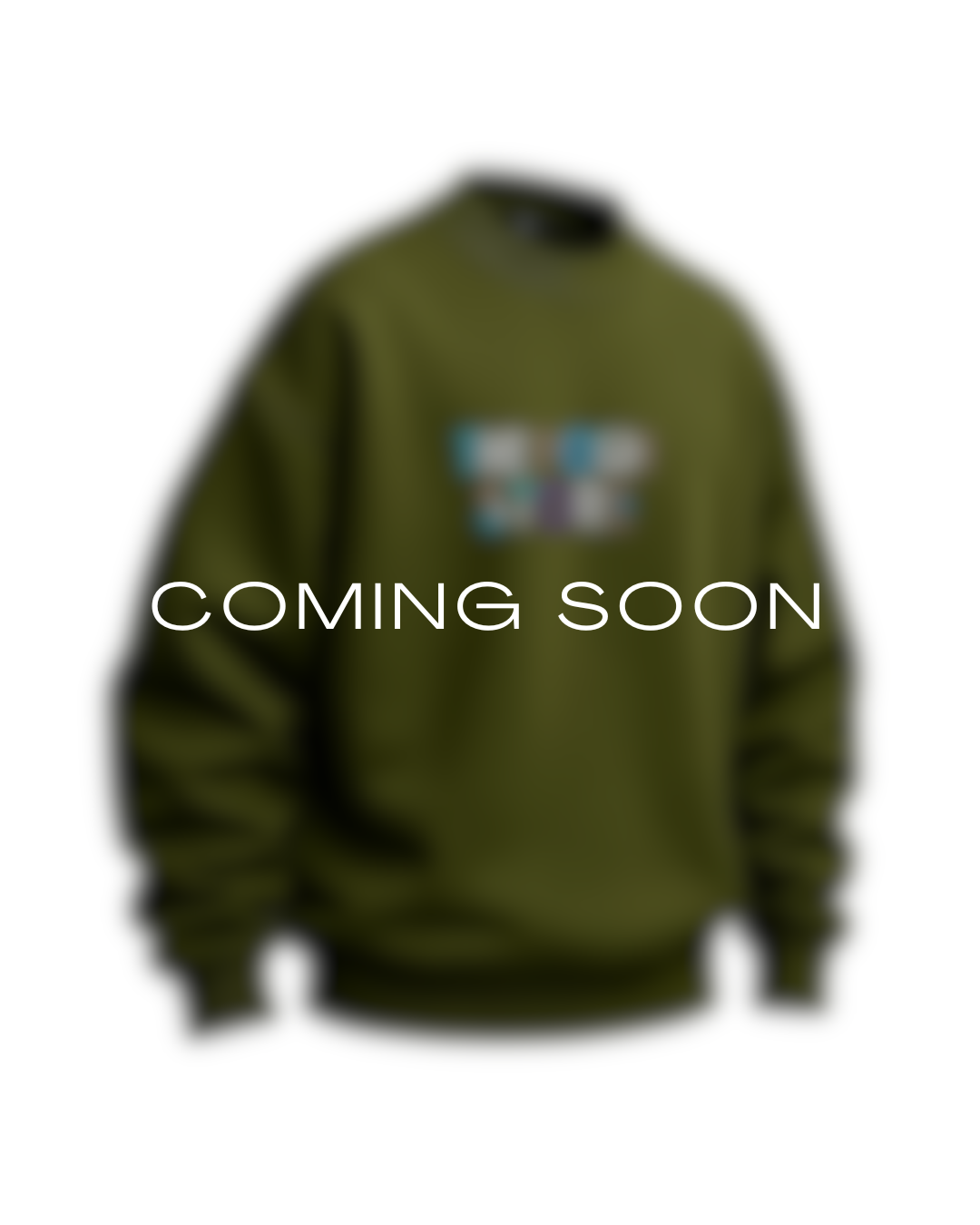 The Posh Hand Embellished Pullover